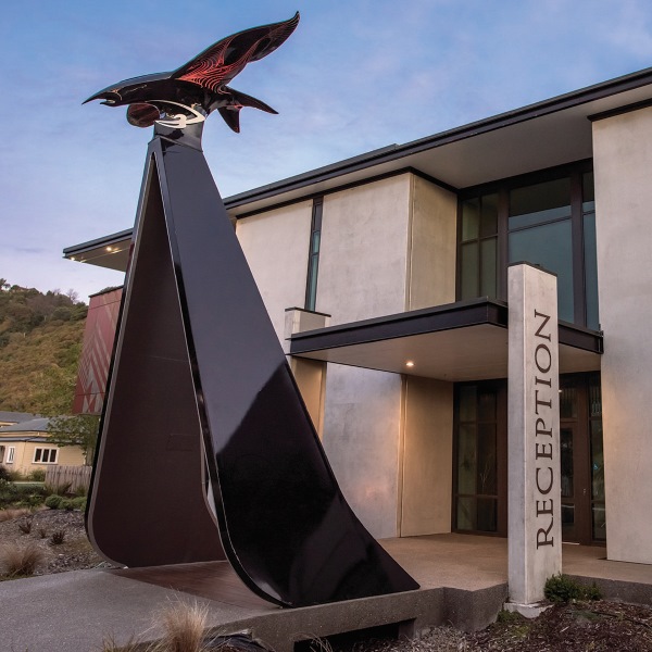 Whakaari (White Island) eruption