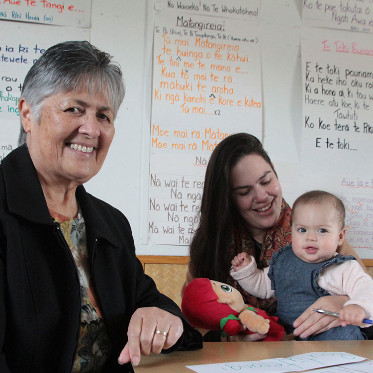 Te Reo Māori Courses