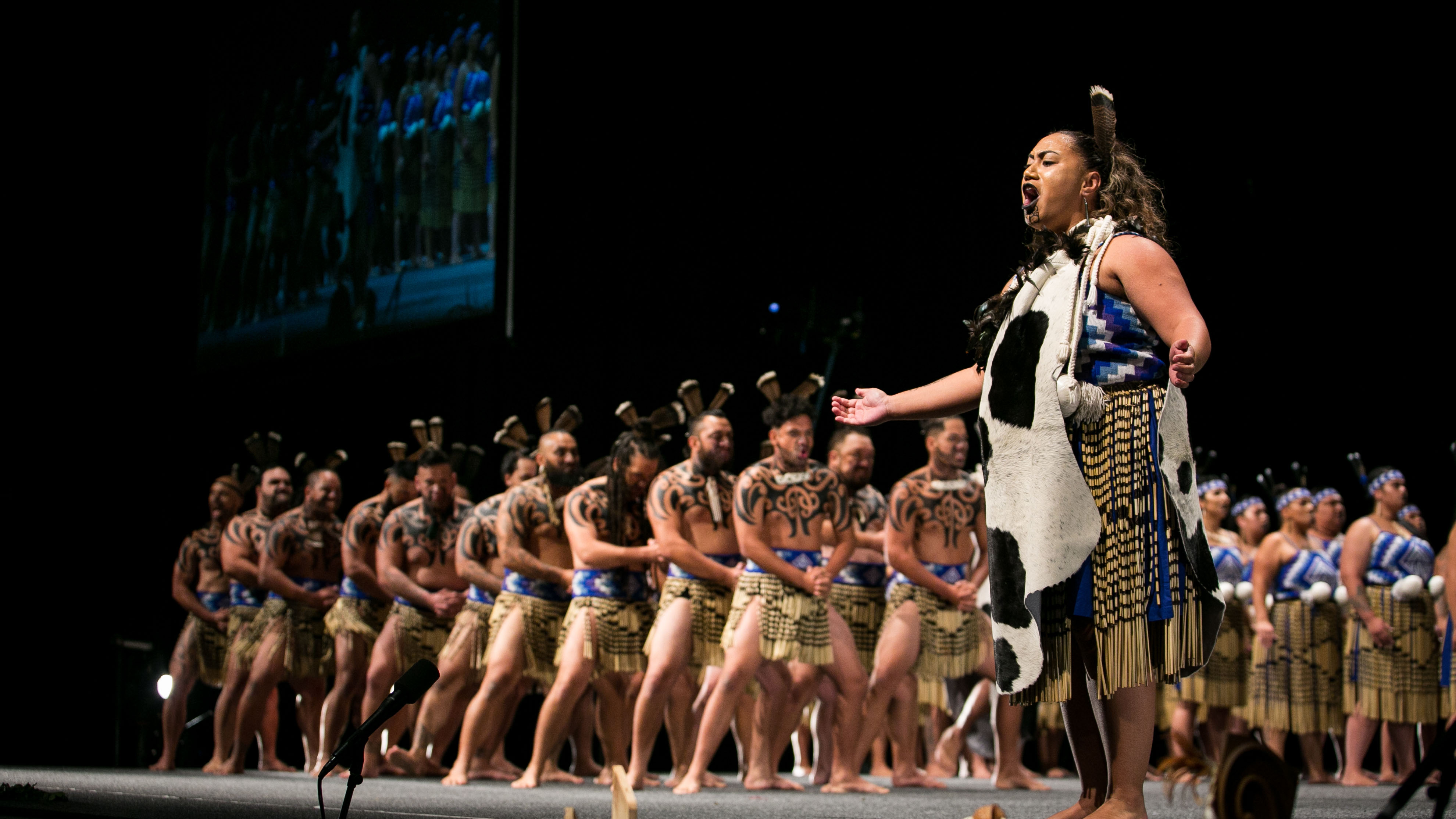 Bachelor of Māori Performing Arts