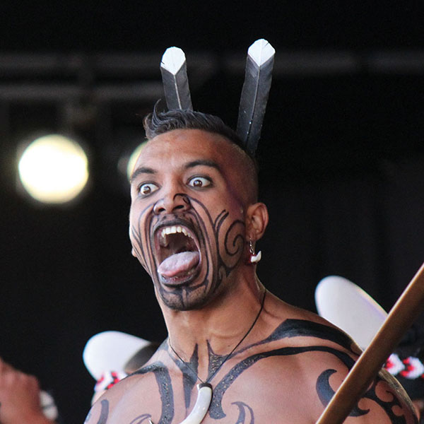 Kaihaka Te Waka Huia