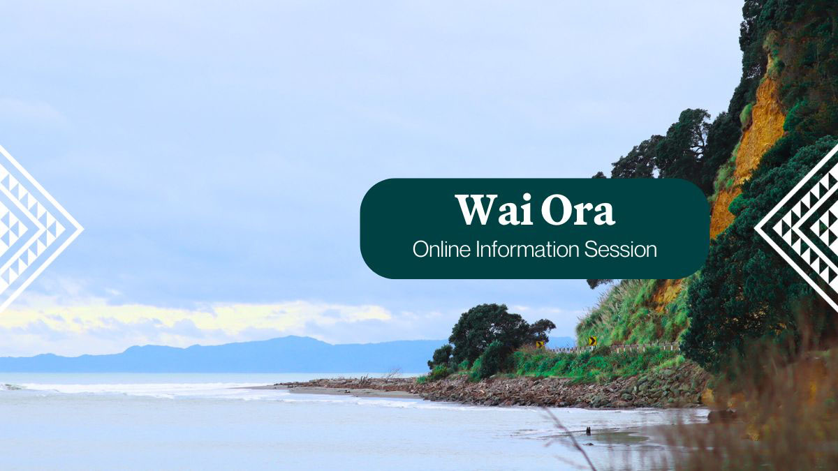 Wai Ora Info Session 5 Aug 2025