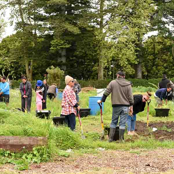 Planting day at Papatuanuku Kokiri marae